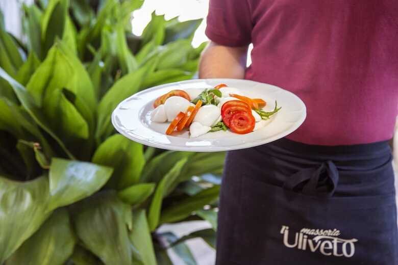 Agroturismo Masseria L'uliveto