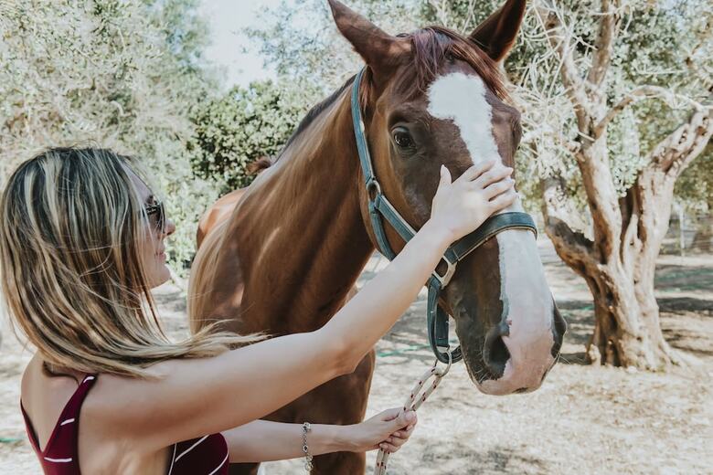 Agroturismo Masseria L'uliveto