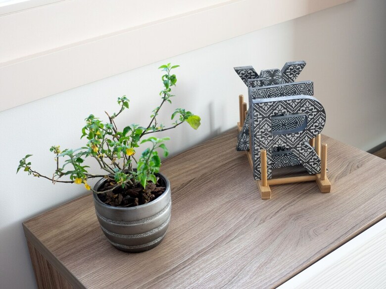 Apartamentos Ceuta Penthouse