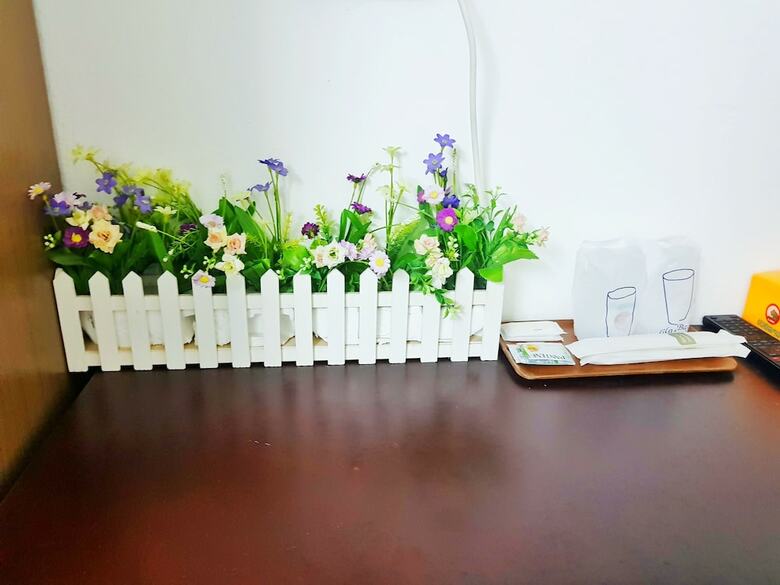 Hostal Green Box Hotel - Hostel