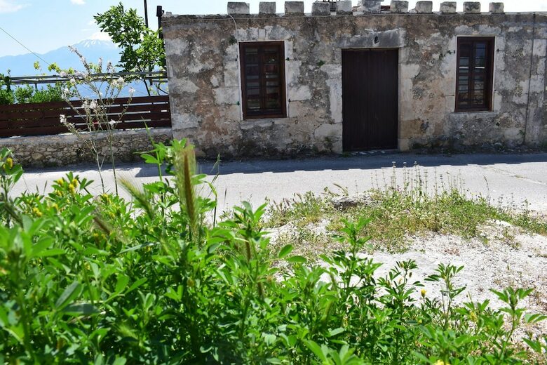 Hotel Eirini's Stone House