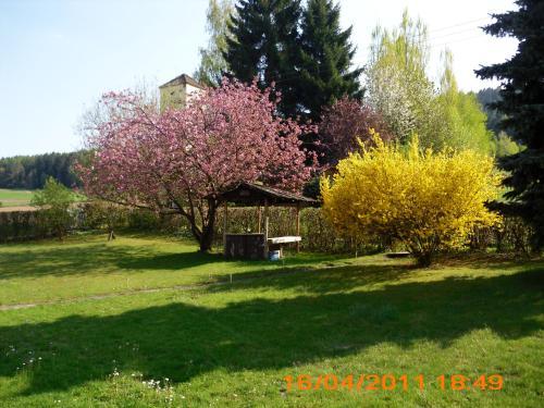 Hostal Hotel Sonnenhof