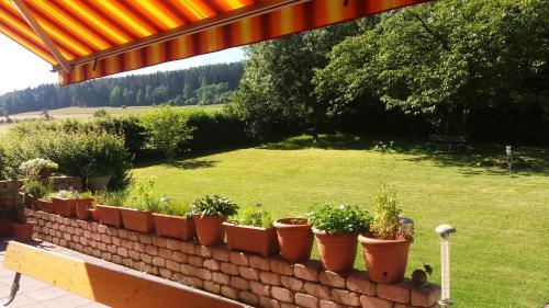 Hostal Hotel Sonnenhof