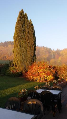 Hostal Hotel Sonnenhof