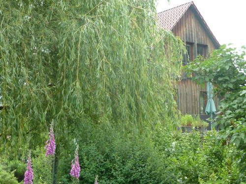 Apartamento Ferienwohnung Lotti