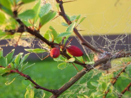 Hostal Pension Talblick