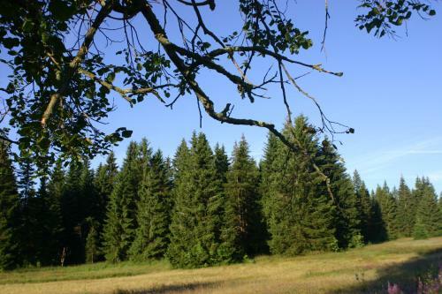Hostal Pension Talblick