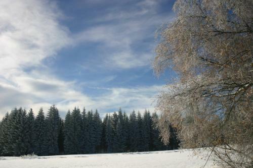 Hostal Pension Talblick