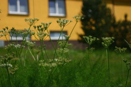 Hostal Pension Talblick