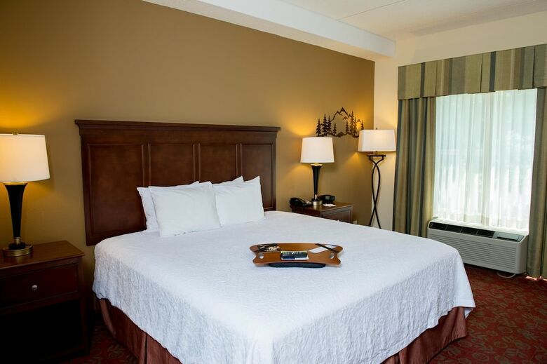 Hotel Hampton Inn & Suites Pigeon Forge On The Parkway