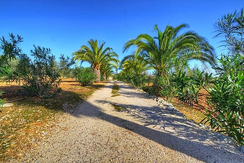 106038 - Villa In Santa Mar�a Del Cam�