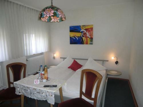 Hostal Hotel Zrenner