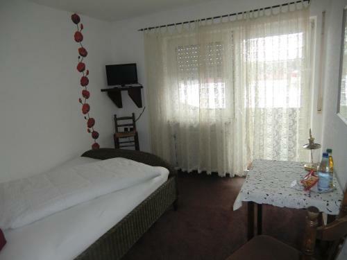 Hostal Hotel Zrenner