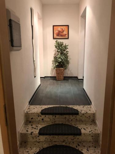 Hostal Ihre Zimmervermietung Am R�merlager