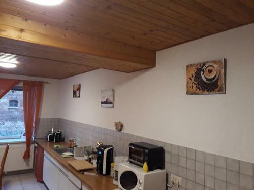 Aparthotel Pension Druschke
