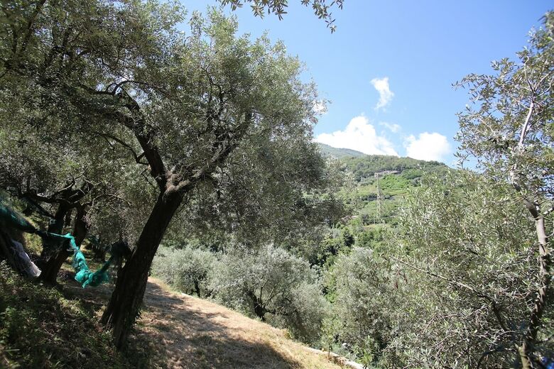 Bed & Breakfast Villa Cati�