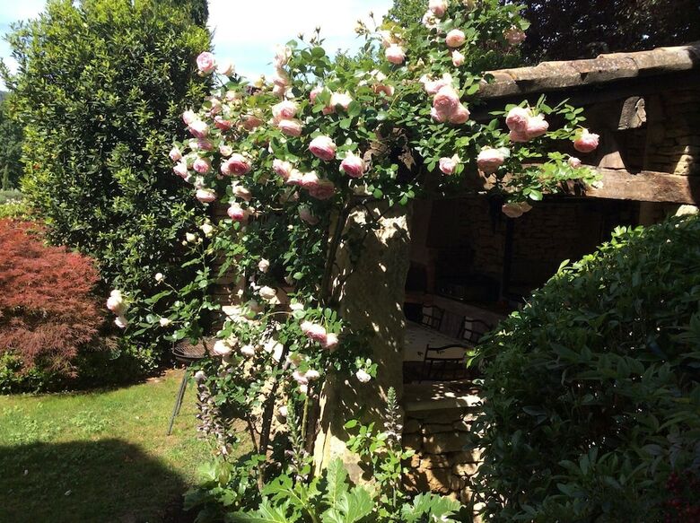 Hotel Chambres D'h�tes Et Mas - Les Bouisserettes