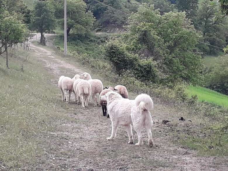 Agroturismo Agriturismo La Vita � Bella