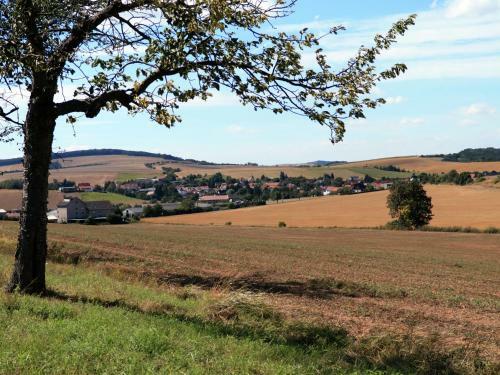 Luxury Holiday Home In Steinthaleben With Private Terrace