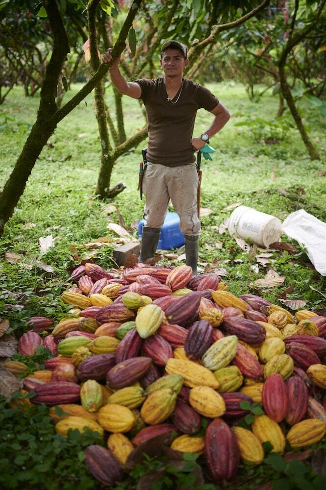 Posada Finca Amistad Cacao Lodge