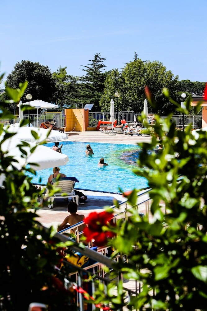 Arena Hotel Holiday