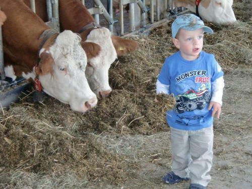 Agroturismo Familien Ring Und Vogl