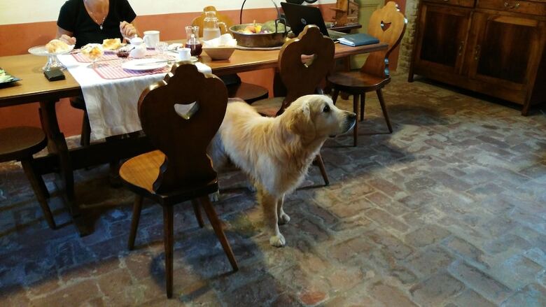 B&B Il Giarolo