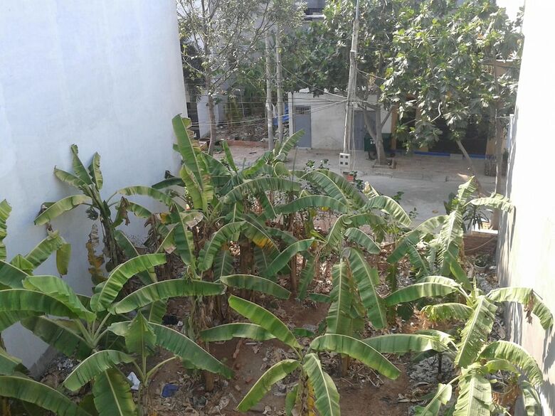 Hostal Pace's Homestay - Hostel