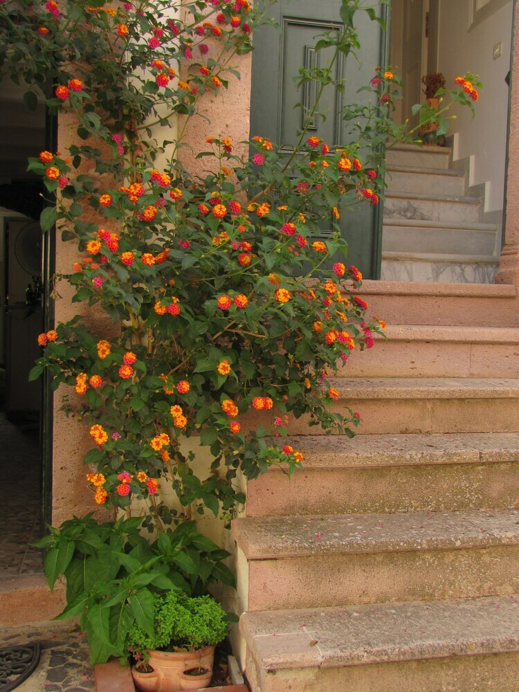 Hotel Eolos House Cunda