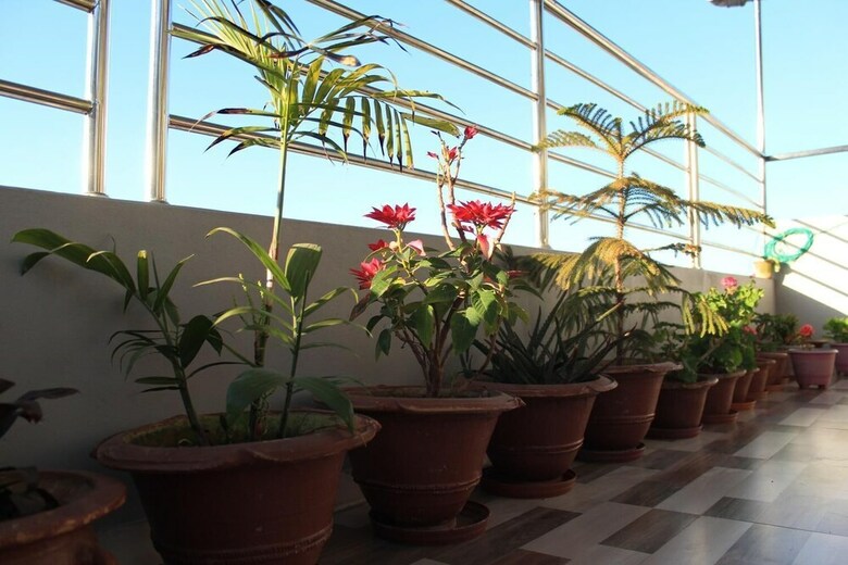 Bed & Breakfast Natures Treat Homestay