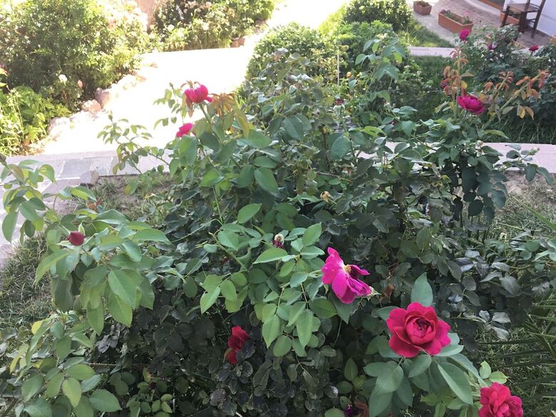 Cunda Demir Hotel