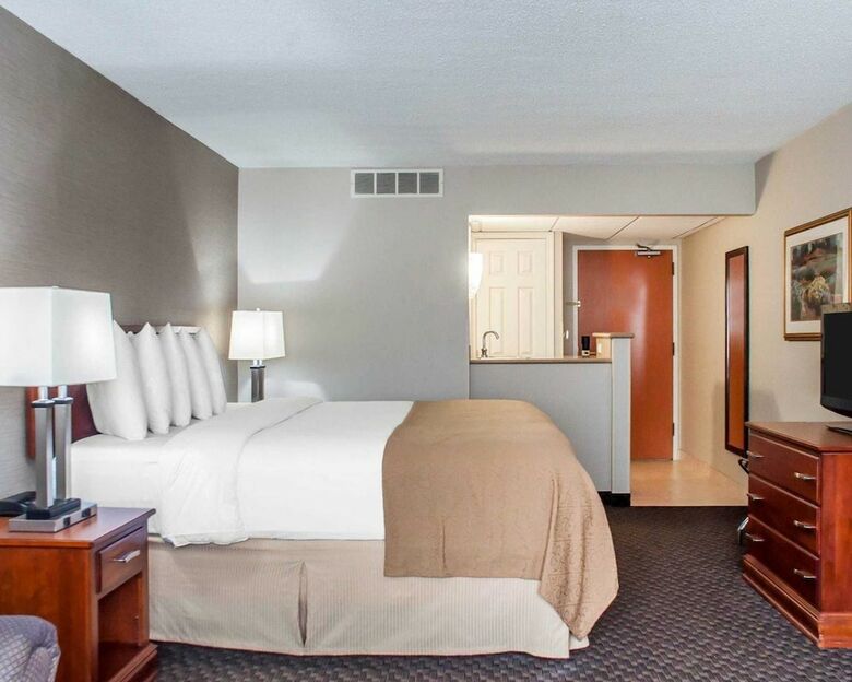 Hotel Quality Inn & Suites Vestal Binghamton