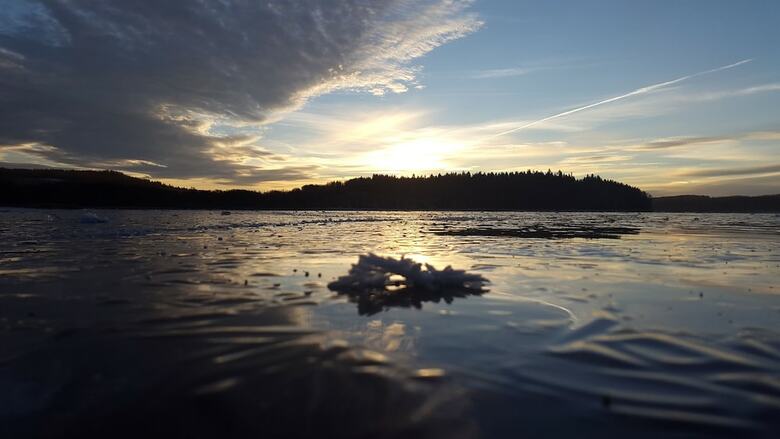 Pension Penzion U Kohout?
