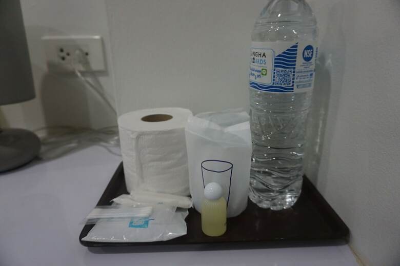 Hotel The Amber Mansion