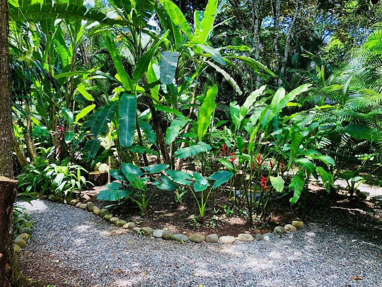 El Jardin De Playa Negra