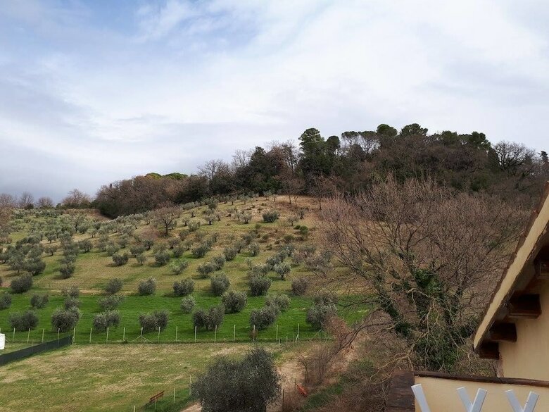 Apartamento Granny's House