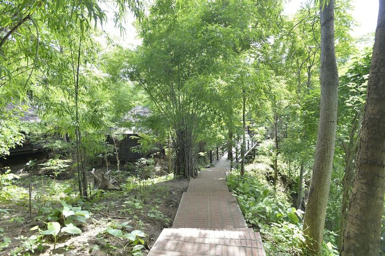 Hotel Bago Yoma Eco Resort