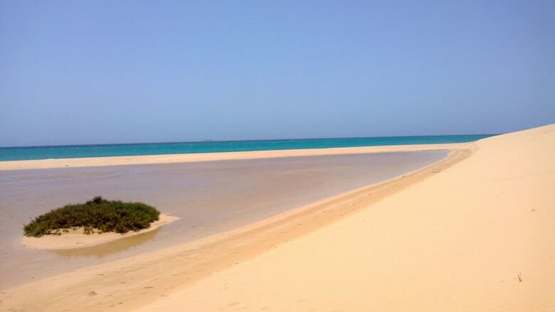 Apartamentos Playa Para�so Plus