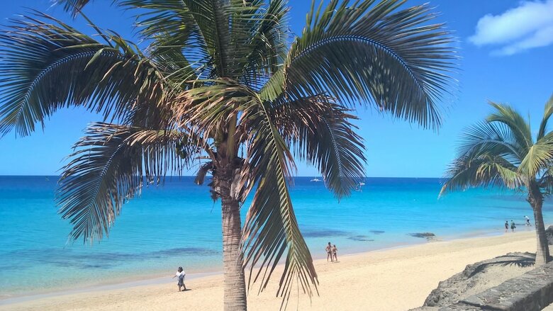 Apartamentos Playa Para�so Plus