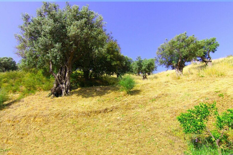 Agroturismo Agriturismo Vulcano