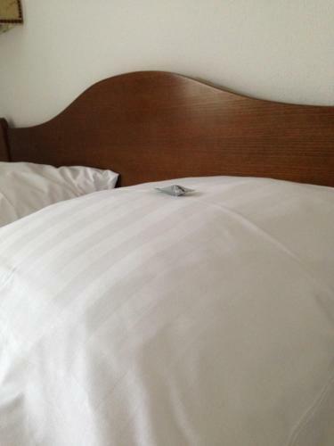 Aparthotel Goldene Rose