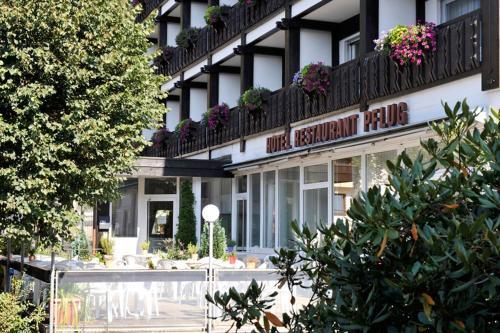 Hotel Pflug