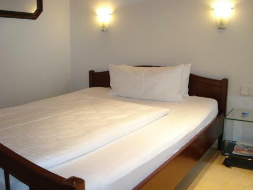 Hostal Hotel Rebstock