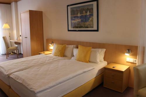 Hostal Hotel Rebstock