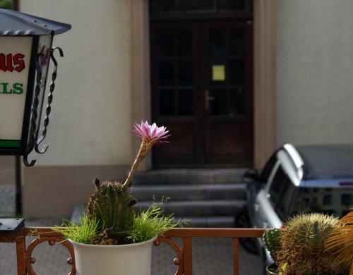 Parkhotel Sch�nau
