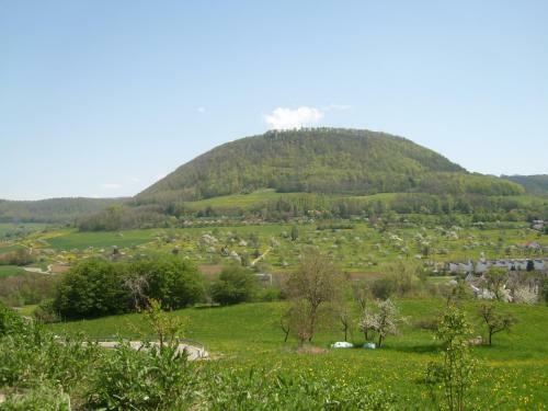 Bed & Breakfast G�stehaus Am Reiterhof Mutschler