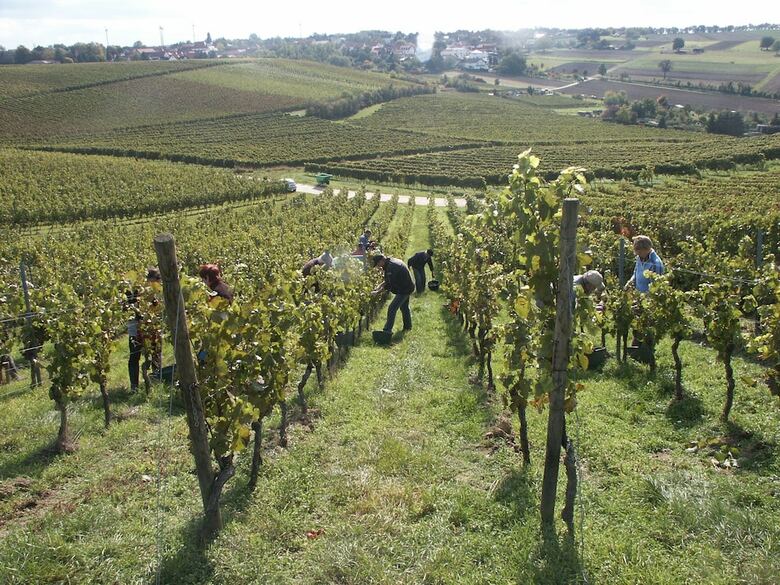 Hotel Weingut Seck