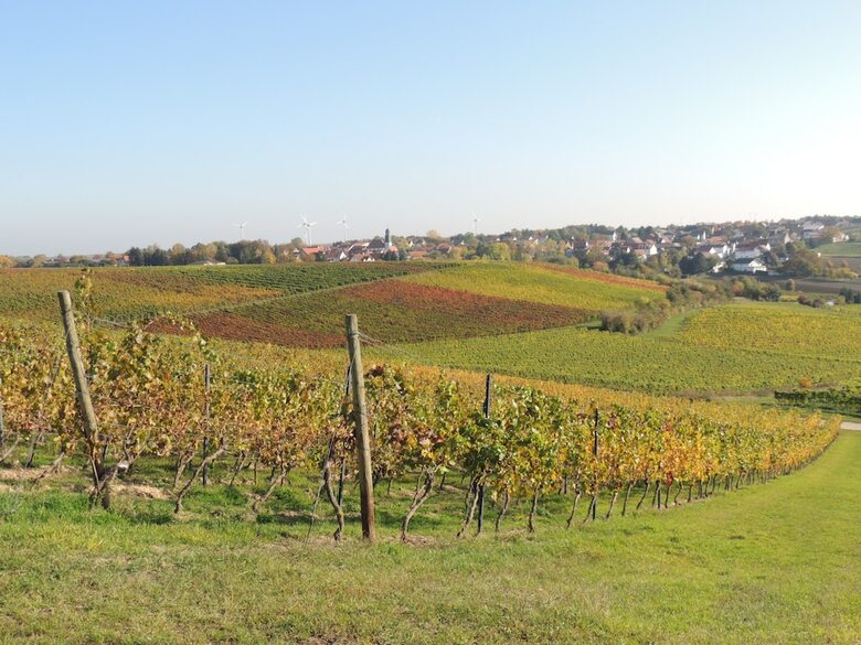 Hotel Weingut Seck