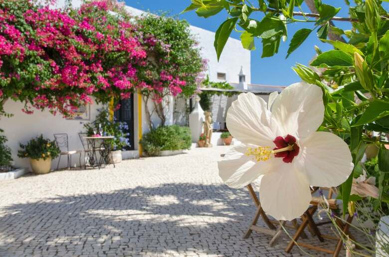 Bed & Breakfast Rio Arade Manor House