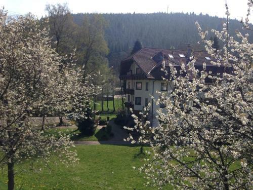 Hotel Enz Residenz